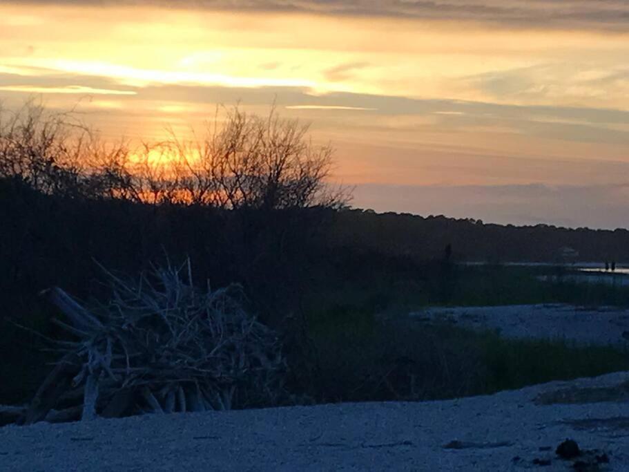 Peaceful Treetop Condo - 2Br/2Ba Hilton Head Island Εξωτερικό φωτογραφία