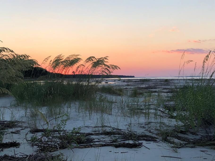 Peaceful Treetop Condo - 2Br/2Ba Hilton Head Island Εξωτερικό φωτογραφία